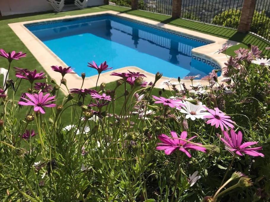 Villa En Frigiliana Con Piscina Y Jacuzzi Dış mekan fotoğraf
